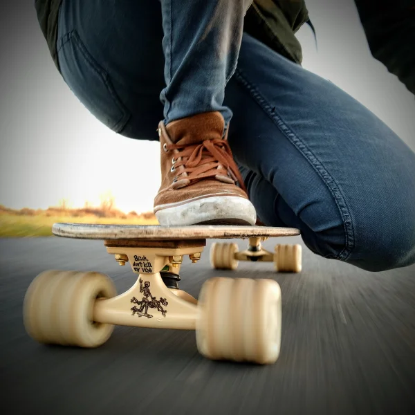 Sea Creatures Cruiser